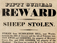 Reward Poster, Theft from Humbleton Hill, Wooler 1819